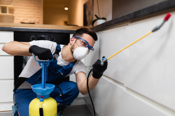 Best Affordable Pest Control Services  in Mckee City, NJ
