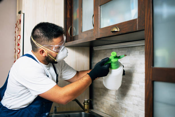 Best Pest Control Cost  in Mckee City, NJ