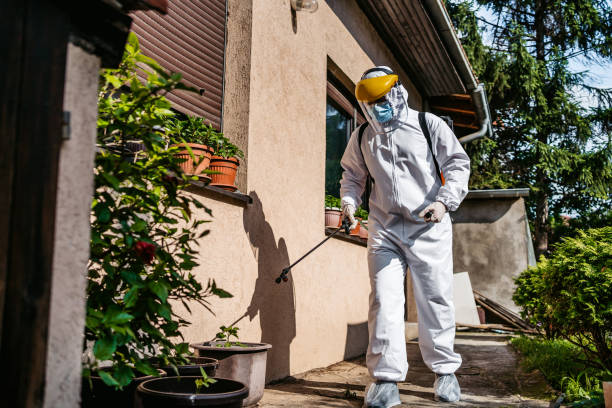 Best Rat Extermination Near Me  in Mckee City, NJ