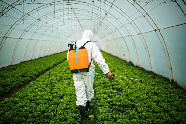 Best Best Pest Control Companies  in Mckee City, NJ