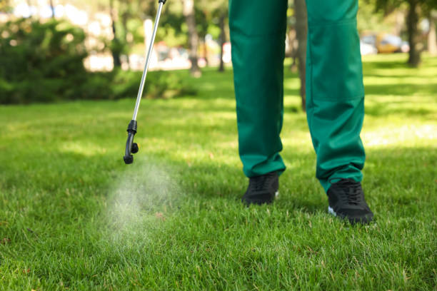 Best Local Pest Control Services  in Mckee City, NJ