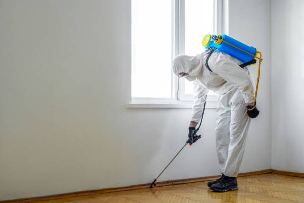 Best Pest Removal Services  in Mckee City, NJ