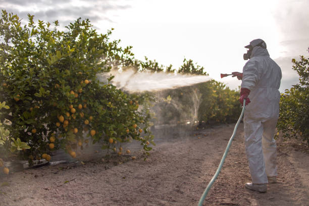 Best Pest Control Near Me  in Mckee City, NJ