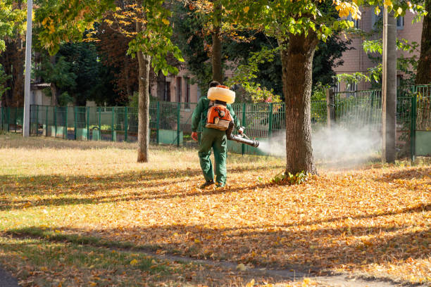 Best Pest Control for Restaurants  in Mckee City, NJ