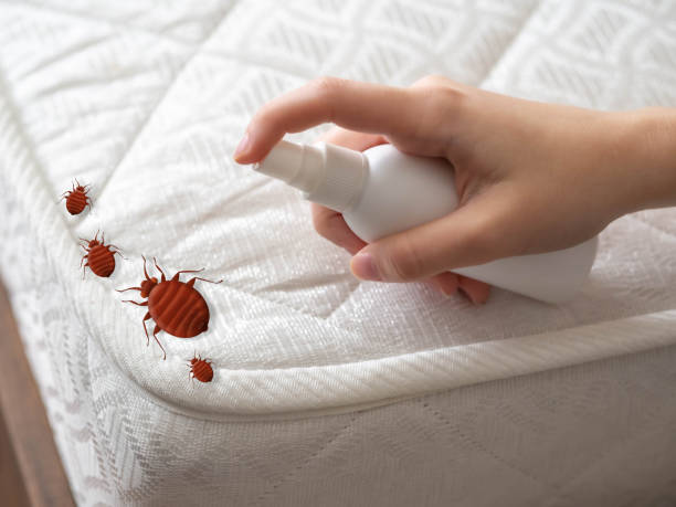 Best Commercial Pest Control Services  in Mckee City, NJ