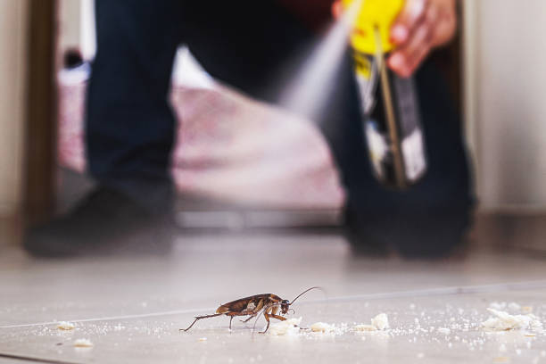 Professional Pest Control in Mckee City, NJ