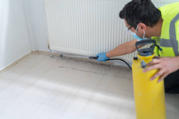 Pest Control for Restaurants in Mckee City, NJ