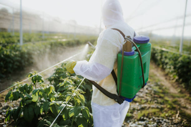 Best Ant Control Services  in Mckee City, NJ